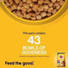 PEDIGREE® Chicken and Vegetables for Adult Dogs, 370gms