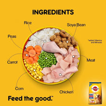 PEDIGREE® Chicken and Vegetables for Adult Dogs, 370gms