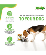 JerHigh Wet Chicken and Liver Food Gravy for Dogs (12X120 G) - Pack of 12 for Adult