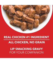 Drools Adult Wet Dog Food, Real Chicken And Chicken Liver Chunks In Gravy, 15 Pouches (15 X 150G), 1 Count