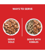 Drools Adult Wet Dog Food, Real Chicken And Chicken Liver Chunks In Gravy, 15 Pouches (15 X 150G), 1 Count