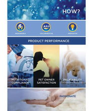 Bellotta Premium Wet Food for Cats and Kittens, Mackerel - 85g (Pack of 24)