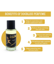 Oh My Dog Pet Body Spray Perfume for Dogs and Cats - 50ml (Brutes & Cutes) | Refreshing Fragrance for Daily Use, Safe & Effective Deodoriser | Pet-Friendly Coat Perfume Remove Bad Odour