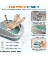 KIKI N POOCH Cat Litter Tray and Scooper - (Small, 47×31×21cm) with Detachable Rim Reduces Odor, Perfect Starter for Toilet Training Cats and Kittens | Durable & Strong PP Material