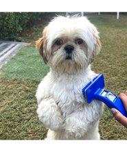 KIKI N POOCH Slicker Brush for Dogs Cats Puppy and Rabbit- Self Cleaning Slicker brush for dog & Puppies, Pet Grooming Comb with Press Key, Dog Hair Remover brushes- SMALL