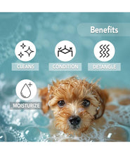 Oh My Dog Paraben Free Ultimate Pet Shampoo Shiny and Soft Fur for Puppies and Dogs (Brightening - 500ml)