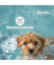 Oh My Dog Paraben Free Ultimate Pet Shampoo Shiny and Soft Fur for Puppies and Dogs (Brightening - 500ml)