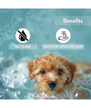 Oh My Dog Paraben Free Ultimate Pet Shampoo Shiny and Soft Fur for Puppies and Dogs (Brightening - 500ml)