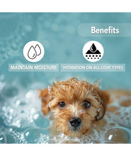 Oh My Dog Paraben Free Ultimate Pet Shampoo Shiny and Soft Fur for Puppies and Dogs (Brightening - 500ml)