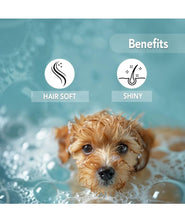 Oh My Dog Paraben Free Ultimate Pet Shampoo Shiny and Soft Fur for Puppies and Dogs (Brightening - 500ml)