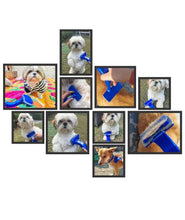 KIKI N POOCH Slicker Brush for Dogs Cats Puppy and Rabbit- Self Cleaning Slicker brush for dog & Puppies, Pet Grooming Comb with Press Key, Dog Hair Remover brushes- SMALL