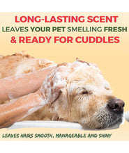 Bio Clean Max Shine Dog Shampoo with Soft Silicone Shampoo Dispenser Brush- Cruelty Free, Maintain PH Balance, Moisturising and Gentle on Skin- 500 ML