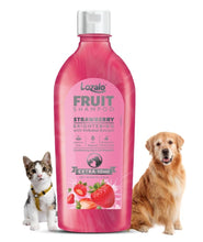 Lozalo Fruit Pet Shampoo 200 ml, Strawberry, Controls Bad Odour & Keep Pets Calm pH Balanced, Paraben Free Conditioning Shampoo for Dogs & Cats of All Breeds, Brightening with Shikakai Extract