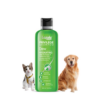 Lozalo Privilege Pet Conditioning Shampoo- 250 ml, Dew,Coat Cleansing and Conditioning Hydrating Shampoo with Hyaluronic Acid, Coat Cleansing, Paraben Free Shampoo for Dogs and Cats