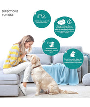Lozalo Privilege Pet Conditioning Shampoo- 250 ml, Spring, Hydrating Shampoo with Hyaluronic Acid, Coat Cleansing, Paraben Free Shampoo to Promote Healthy Skin&Shiny for Dogs and Cats