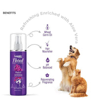 Lozalo Floral Dog Perfume Spray - 200 ml, Orchid, Deodorizing Long Lasting Fragrance Spray for Dogs & Cats, Odour Eliminator, Grooming Essential Pet Perfume, with Aloe Vera Extract & Wheat Germ Oil