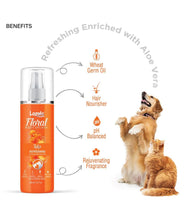 Lozalo Floral Pet Perfume Spray - 200 ml, Tulip, Deodorizing Long Lasting Natural Body Fragrance Dog Perfume Fresh Coat Spray for Dogs & Cats of All Breeds, with Aloe Vera Extract & Wheat Germ Oil