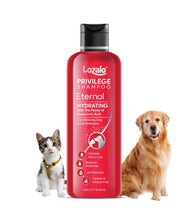 Lozalo Privilege Pet Conditioning Shampoo- 250 ml | Hydrating Shampoo with Hyaluronic Acid | Coat Cleansing, Paraben Free Shampoo for Dogs and Cats (Eternal)