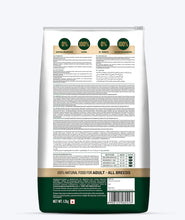 Grain zero Adult