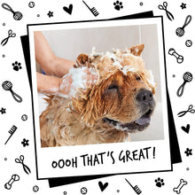 Oh My Dog Paraben Free Ultimate Pet Shampoo for Puppies & Dogs - (Berry-Coconut)