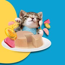 Moochie Tasty Wet Cat Food, Grain Free Cats Gravy Meal, Healthy Growth Tuna Mousse with Chicken, No Artificial Flavours Kitten Food, Non-Vegetarian Cat Foods Pouch (85 g X 12 Pouches)