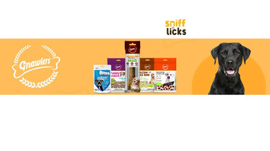 Gnawlers Puppy Snack Twist Stick Chicken Flavored Dog Treats - 400g (Pack of 1)