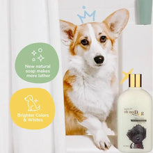 Oh My Dog Ultimate Pet Shampoo Paraben Free - Odour Control Shampoo for Puppies & Dogs