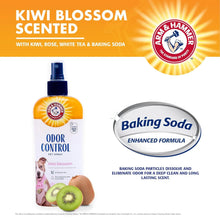 Arm & Hammer for Pets Super Deodorizing Spray for Dogs | Best Odor Eliminating Spray for All Dogs & Puppies - KIWI BLOSSOM