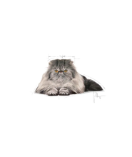 Royal Canin Persian Adult