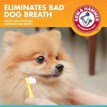 Arm & Hammer Clinical Care Enzymatic Toothpaste Gel - Vanilla Ginger
