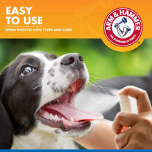 Arm & Hammer Dog Dental Care Tartar Control Dental Spray for Dogs | Reduces Plaque & Tartar Buildup Without Brushing,- Mint Flavor