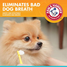 Arm & Hammer Clinical Care Enzymatic Toothpaste Gel - Chicken Flavor