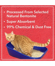 Drools Cat clumping litter - lavender fragrance - 5 kg