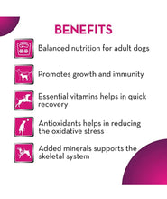 Maxi adult dry dog food