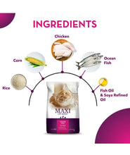 Maxi dry cat food
