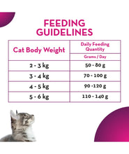 Maxi dry cat food