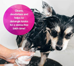Oh My Dog Paraben Free Ultimate Pet Shampoo for Puppies & Dogs - (Berry-Coconut)