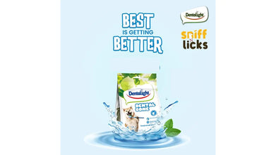 Gnawlers Dentalight Small Dental Veg Bone Dog Treat, 90 g - 12 Pieces (Pack of 1)