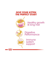 Royal Canin Persian Kitten