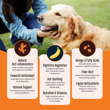 Chester's Wagg Sticks Chicken Sticks with Real Chicken | No Artificial Enhancers | Antioxident Rich | Soft Chew Sticks | Human Grade Indredients | (91Gm Pack of 1, Spinach Stick)