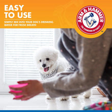 Arm & Hammer for Pets Dental Water Additive for Dogs, Tartar Control | Dog Dental Care Reduces Plaque & Tartar Buildup Without Brushing | Odorless and Flavorless - 1 PACK