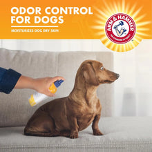 Arm & Hammer for Pets Super Deodorizing Spray for Dogs | Best Odor Eliminating Spray for All Dogs & Puppies - KIWI BLOSSOM