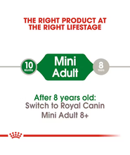 Mini Adult
