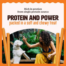 Chester's Wagg Sticks Chicken Sticks with Real Chicken | No Artificial Enhancers | Antioxident Rich | Soft Chew Sticks | Human Grade Indredients | (91Gm Pack of 1, Spinach Stick)