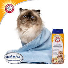 Arm & Hammer Tearless Kitten Natural Cat Shampoo for Odor Control with Baking Soda, 20 Fl Oz Gentle Cleansing Kitten Shampoo in Sweet Almond Scent