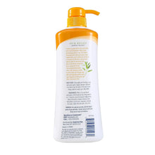 Arm & Hammer for Pets Ultra Fresh Itch Relief Shampoo with Oatmeal & Aloe Value Size with Pump 24oz | Great Smelling Dog Grooming Supplies, Bathing Supplies, Wash, Puppy Shampoo, Pet Shampoo