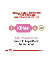 Royal Canin Persian Kitten