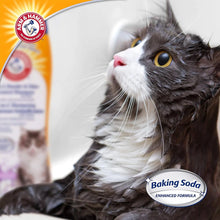 Arm & Hammer 2-in-1 Deodorizing & Dander Reducing Shampoo for Cats, Dander Remover for Dander and Odors, Baking Soda Moisturizes and Deodorizes, Lavender Chamomile Scent, 20 Fl Oz