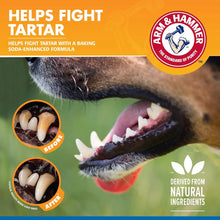 Arm & Hammer Dog Dental Care Tartar Control Dental Spray for Dogs | Reduces Plaque & Tartar Buildup Without Brushing,- Mint Flavor