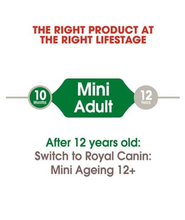 Mini Adult